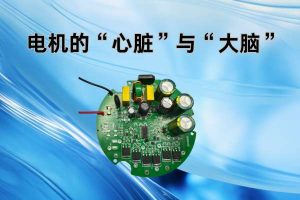 电机的“心脏”与“大脑”